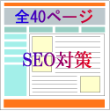 全40ページのSEO対策だけのリニューアル代行
